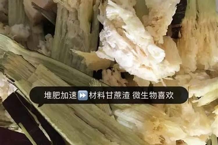 榴莲壳如何沤制肥料