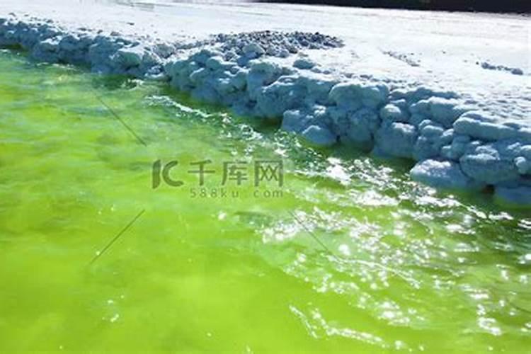 盐碱地水稻怎样施用磷钾肥？