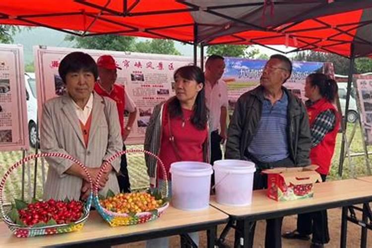 桃子怎样施肥可以丰收