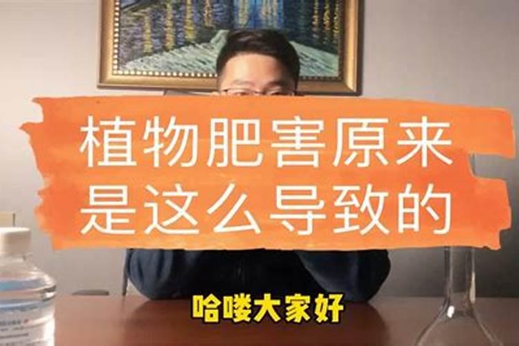 如何防止肥害