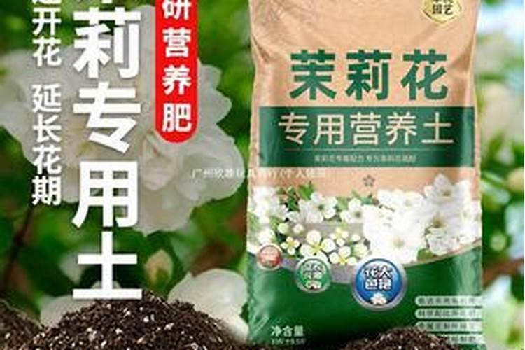 山药中后期管理技术是什么