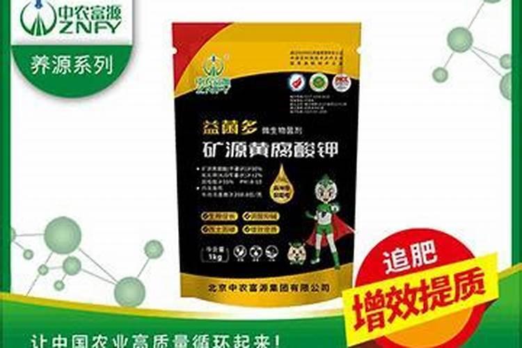 天气变冷草莓柿子绿色多怎么办
