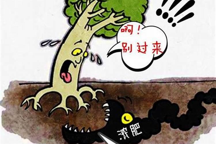 葡萄补硼的最佳时期,补硼过度会有什么影响