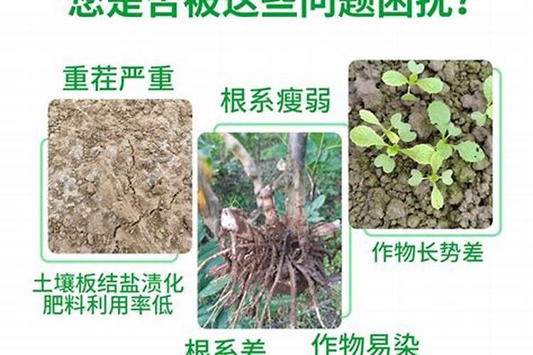 黄腐酸化肥和腐植酸化肥那个好