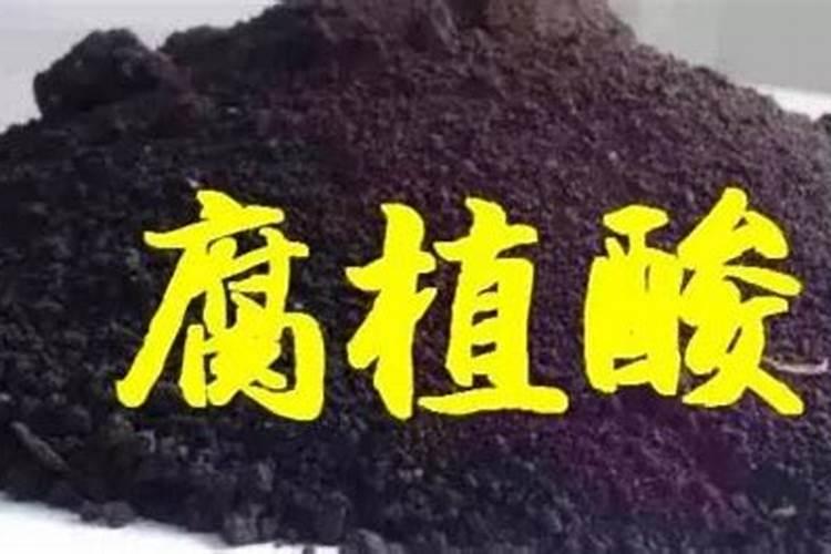 腐植酸对平菇有什么好处？