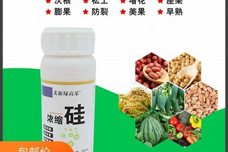 脱水蔬菜一般需要泡水多久？有哪些作用呢？