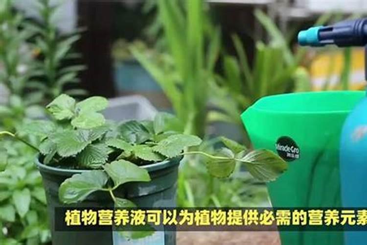 农药应该如何混用？