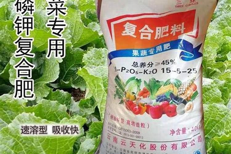花多多可以浇菜吗