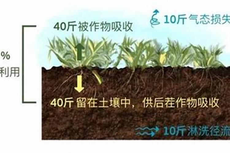 化肥的长期使用,使土壤变得板结,怎么做才能让土地恢复原样？