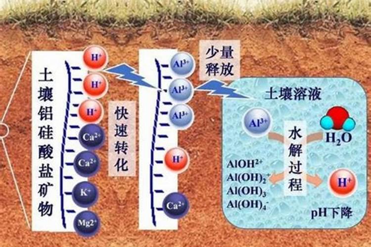 雷于时为什么可以增加土壤里的氮肥呢？