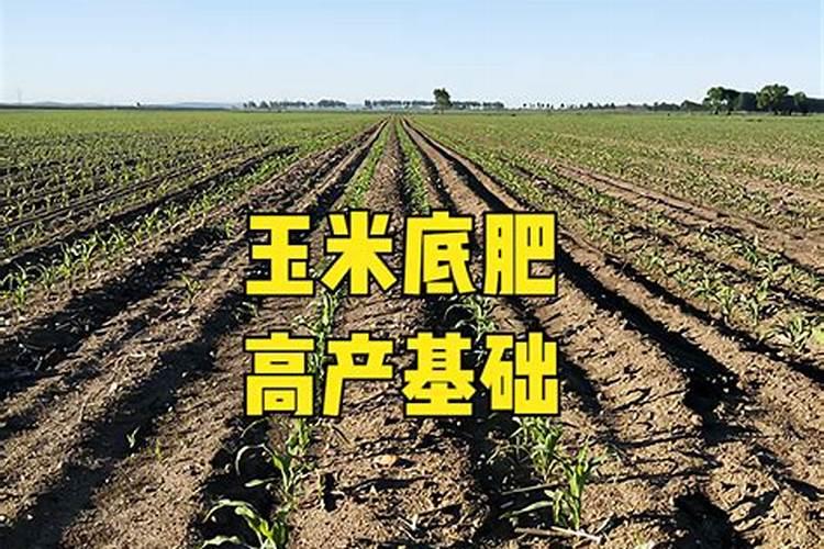 玉米底肥一次性施肥 氮磷钾 各用多少？