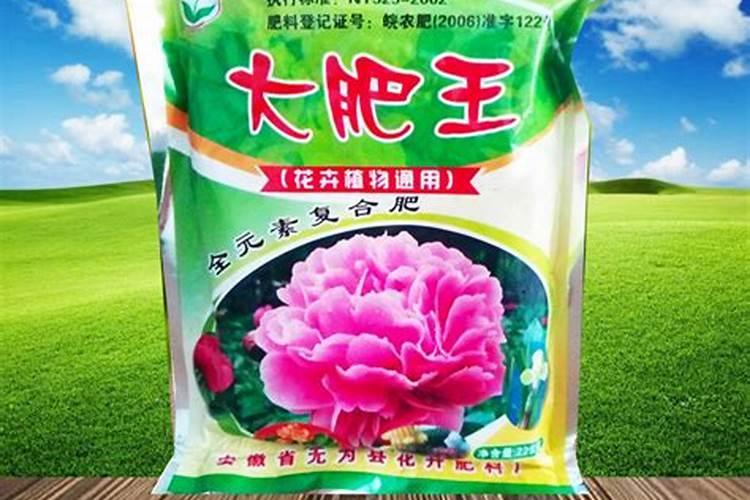 怎样在家做有机肥料 自己如何在家做有机肥