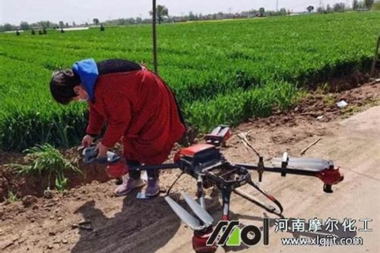 硼肥在什么时候喷施好(硼肥施肥要在雨天还是晴天)