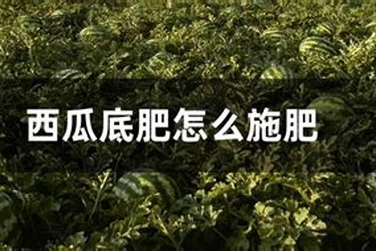 种植西瓜底肥要埋多深
