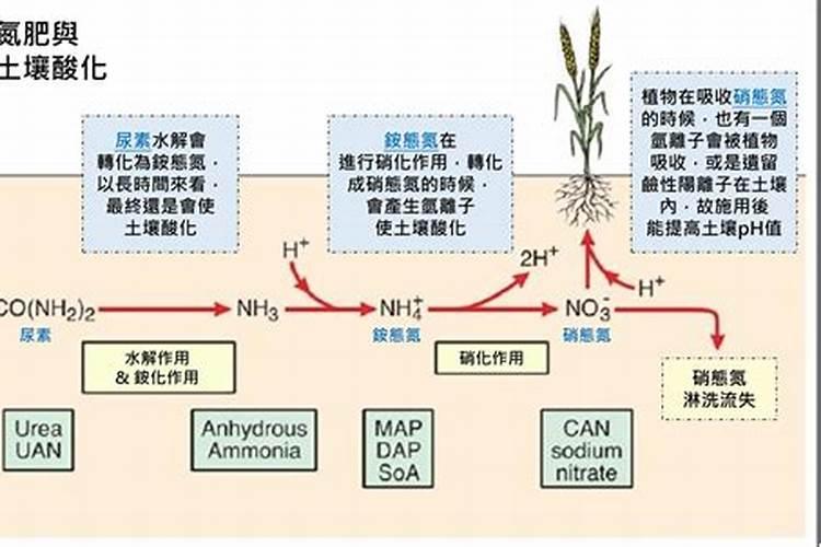 氮肥过多怎么解决