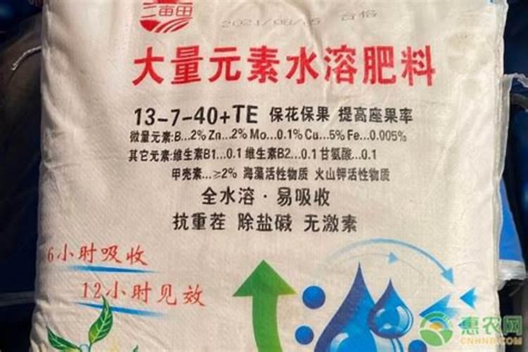 草莓初花期冲什么肥