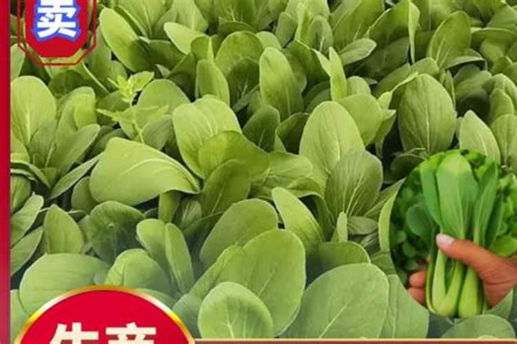 苹果树什么时候用水溶肥,怎么用最好
