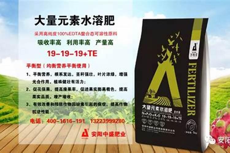 叶面肥可以灌根吗 叶面肥多长时间能吸收