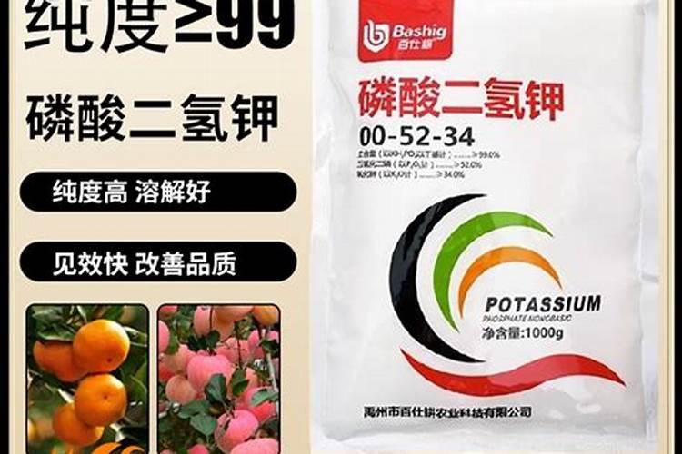 西红柿幼苗可以持续喷施叶面肥吗
