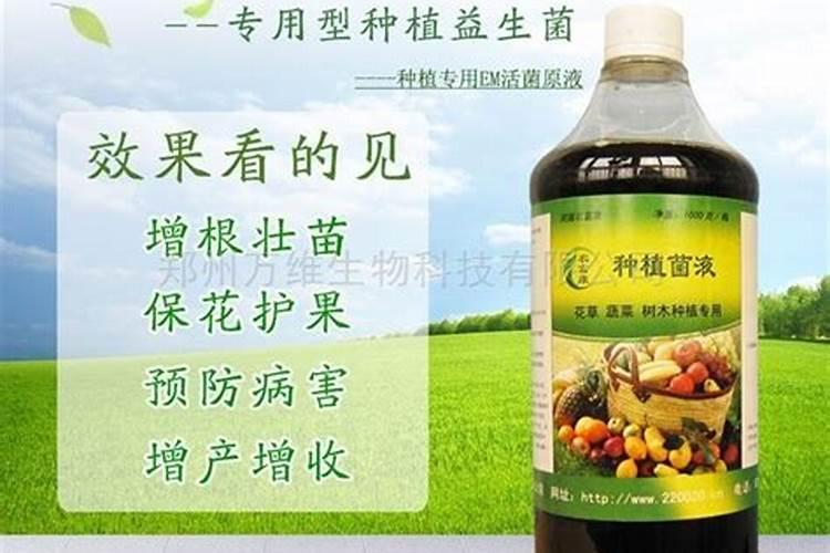 不烧根的复合肥有哪些