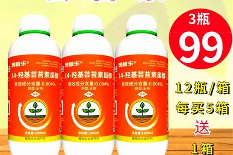 白花蛇舌草的功效与作用 药用价值和副作用禁忌