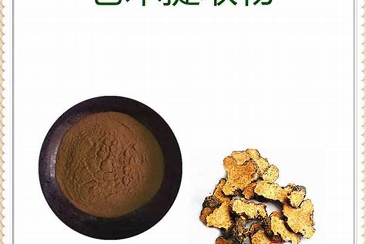 白花蛇舌草的功效与作用 药用价值和副作用禁忌