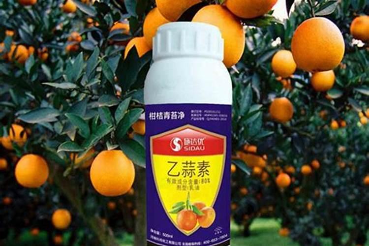 冲施肥什么牌子最好