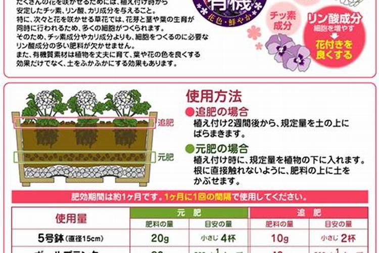 花肥一般用什么肥料