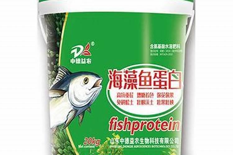龟背竹用什么肥料好 龟背竹怎么施肥