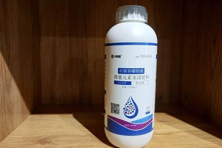 水溶肥是什么肥料怎样使用