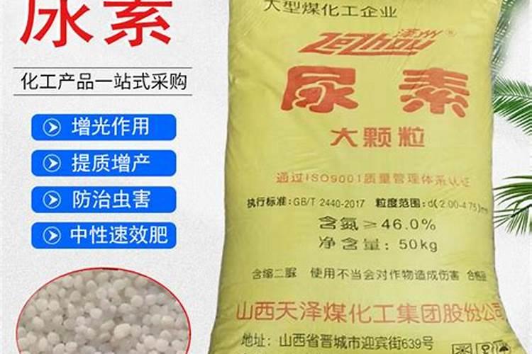 柑橘采收后喷什么叶面肥好？