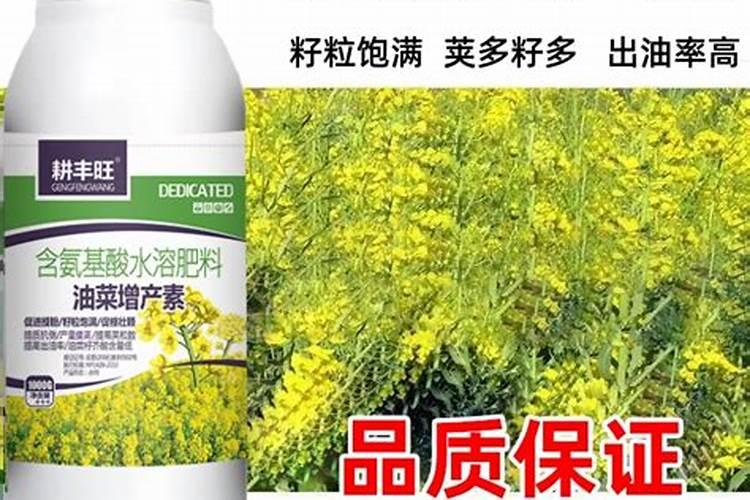 果树促花用什么叶面肥好？