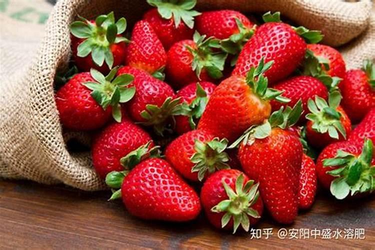 草莓初花期冲什么肥