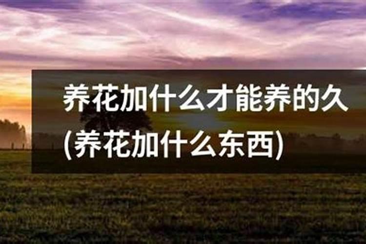 氮肥过多怎么样处理