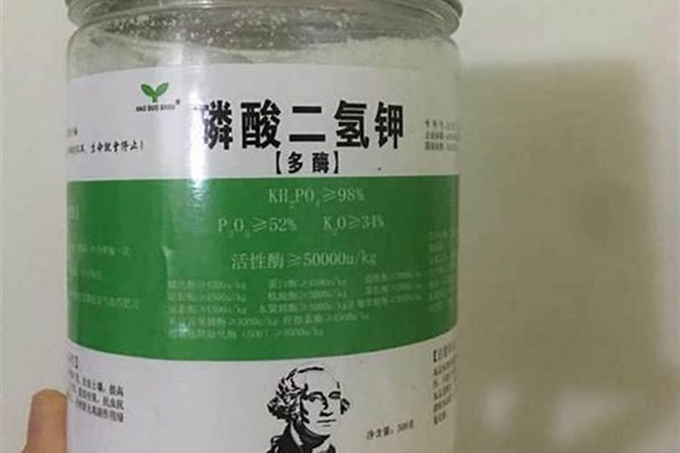花芽分化用什么叶面肥