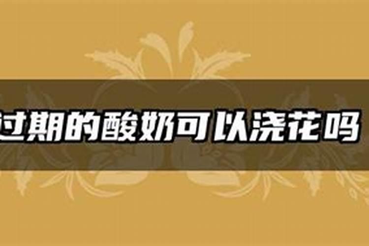 过期的酸奶可以浇花吗没事吗(过期的酸奶可以浇月季和君子兰吗)