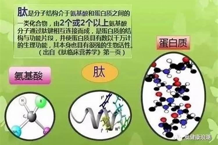 西瓜黄瓜硼肥加了杀虫的过了,咋救？