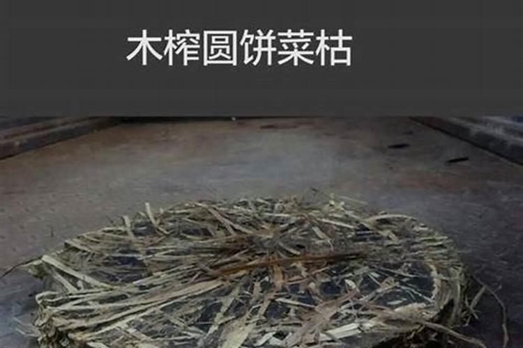 菜枯种菜做肥料怎么用