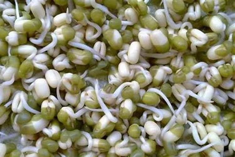 绿豆芽腐烂后可以作钾肥施吗？