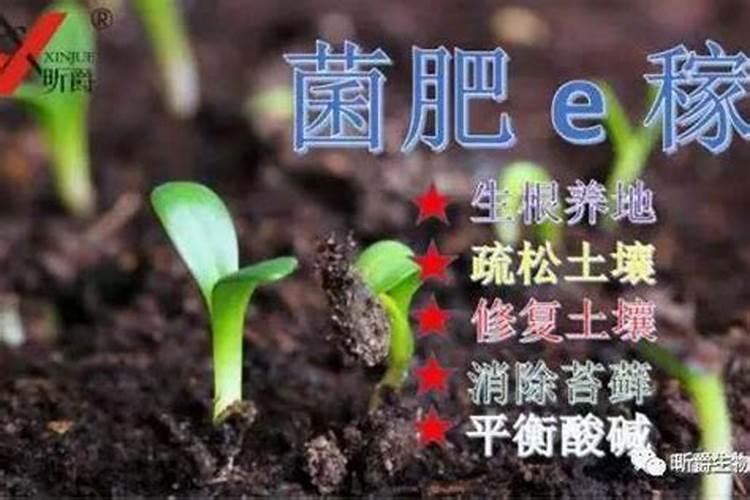 如何区分微生物菌肥的好坏？