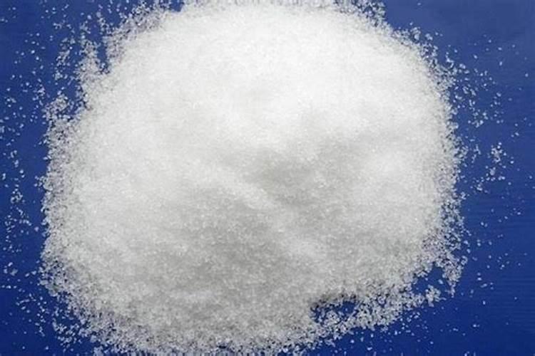 六月份管理茶花需要注意些什么