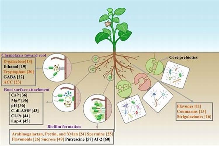 突泉县瑞尔生物质能源开发有限公司怎么样？