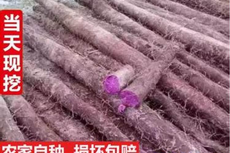 种植山药什么时间,冲钾肥最好？