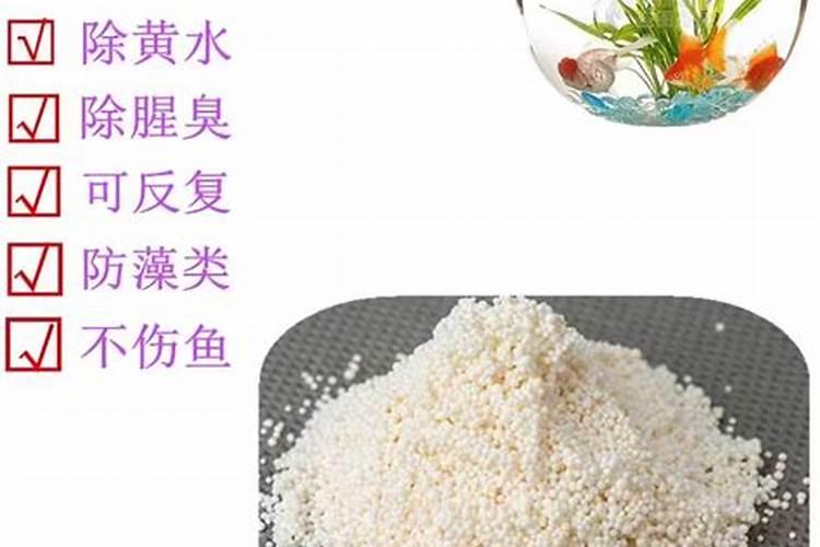 鱼蛋白水溶肥制作方法