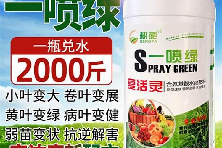 怎样促进桃树花芽形成？