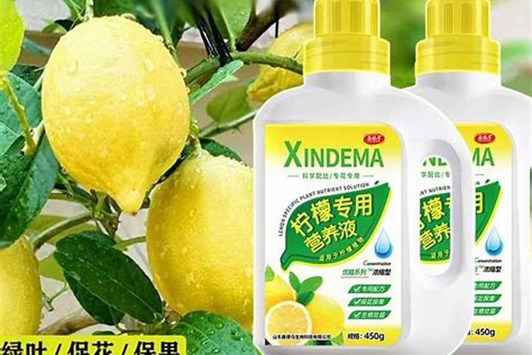 茉莉花的施肥方法