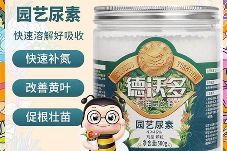 养花什么时候施氮肥(给花施氮肥比例是多少)