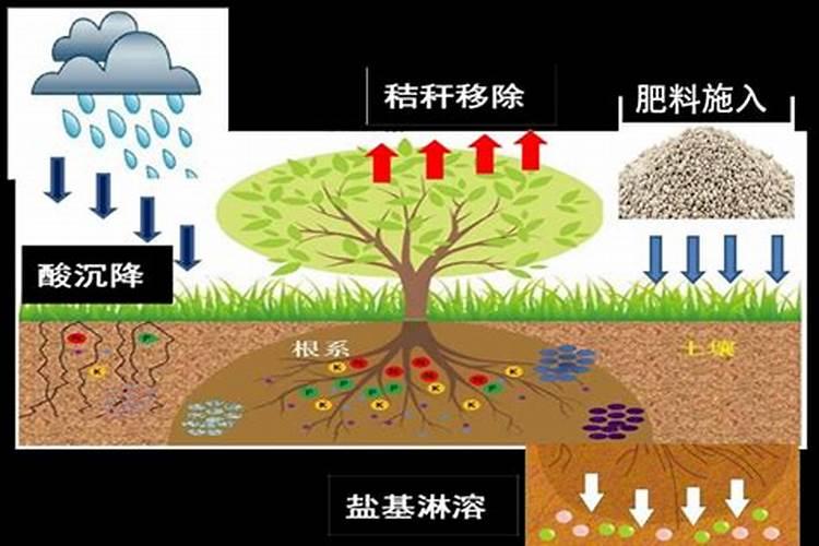 农业用硝酸钾和硫酸钾的区别,什么好
