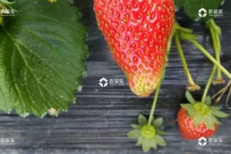 。我想找个专业人士给我解释浮灰层真的在913楼吗？