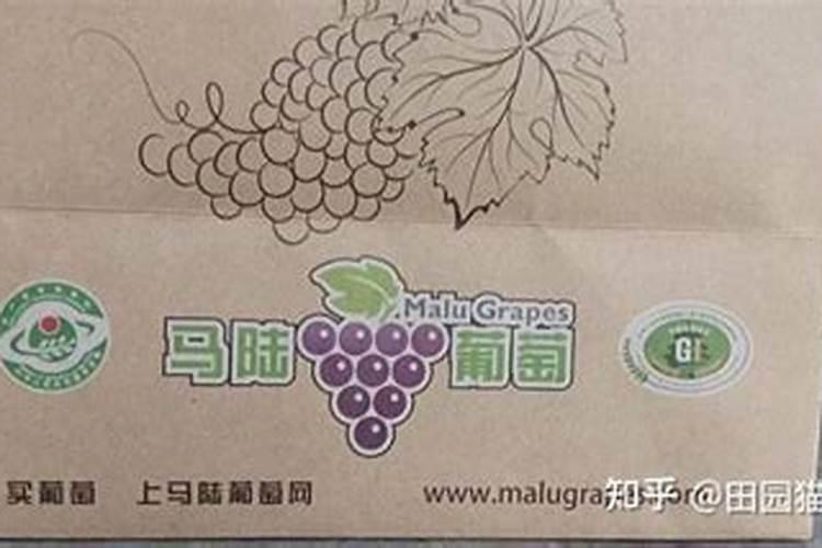 为什么冬天最适合滋补